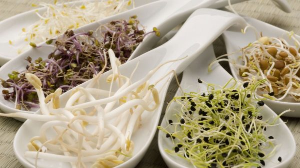 b3961d70b3b33b4a75ec83eb58ab3286-1685518245