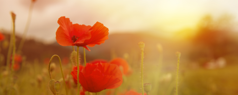 2_20251214_131719_0001